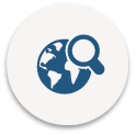Icon: World-Search